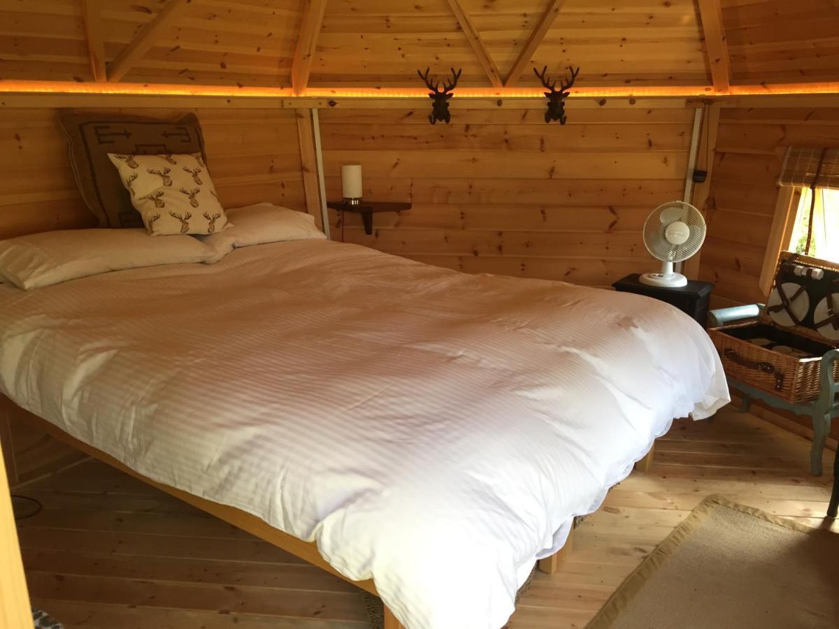 Culvers House Cattistock Экстерьер фото