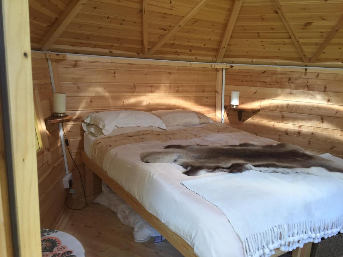 Culvers House Cattistock Экстерьер фото