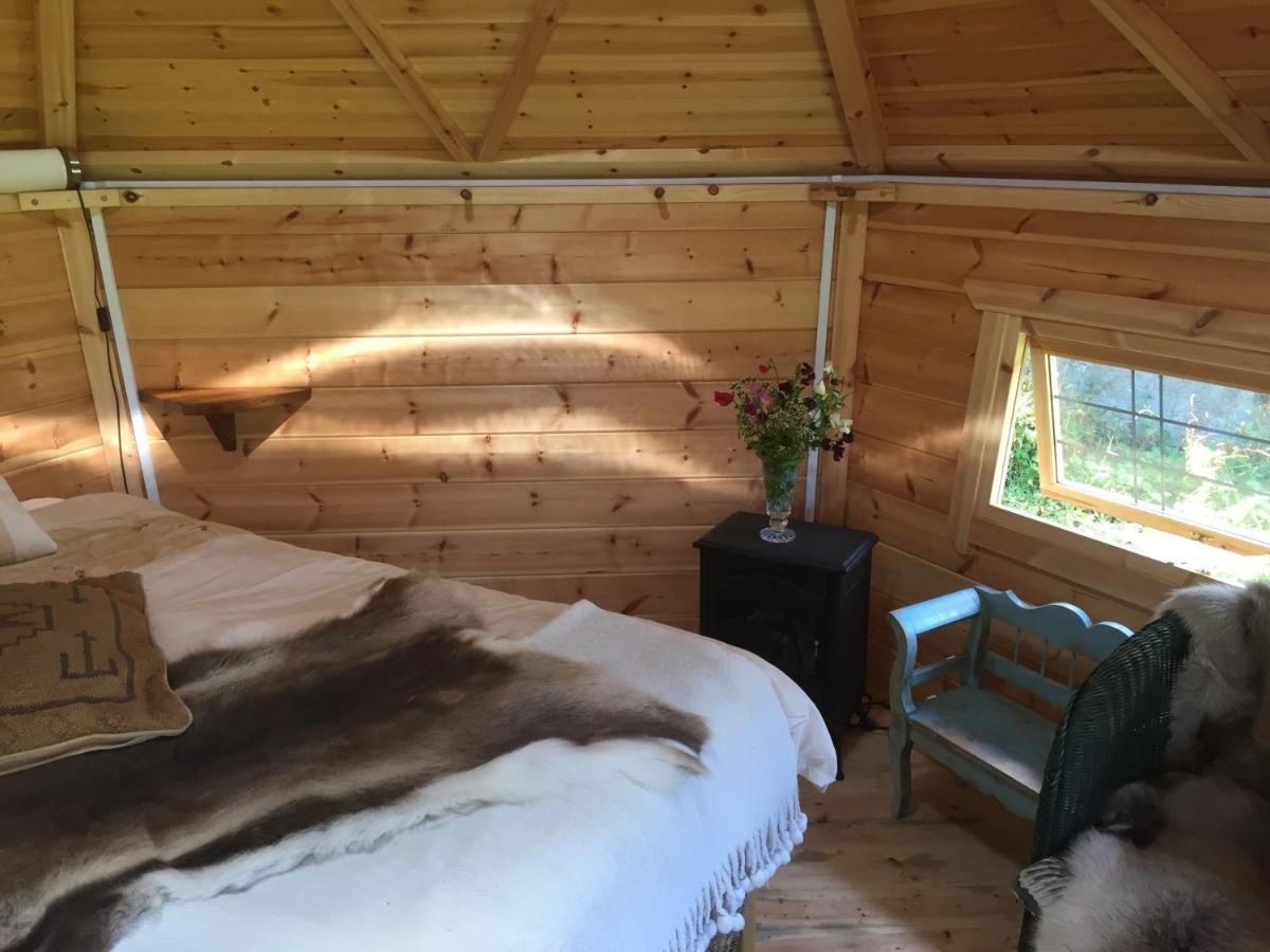 Culvers House Cattistock Экстерьер фото